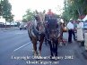 Calgary Stampede 2002