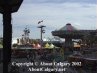 Calgary Stampede 2002