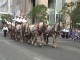 Calgary Stampede Parade
