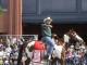 Calgary Stampede 2003