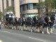 Calgary Stampede 2003