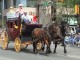 Calgary Stampede 2003