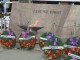 Calgary Remembrance Day