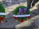 Calgary Remembrance Day